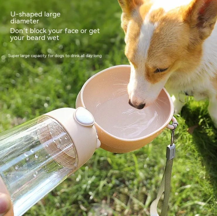 Dog Portable Water Bottle anywhere